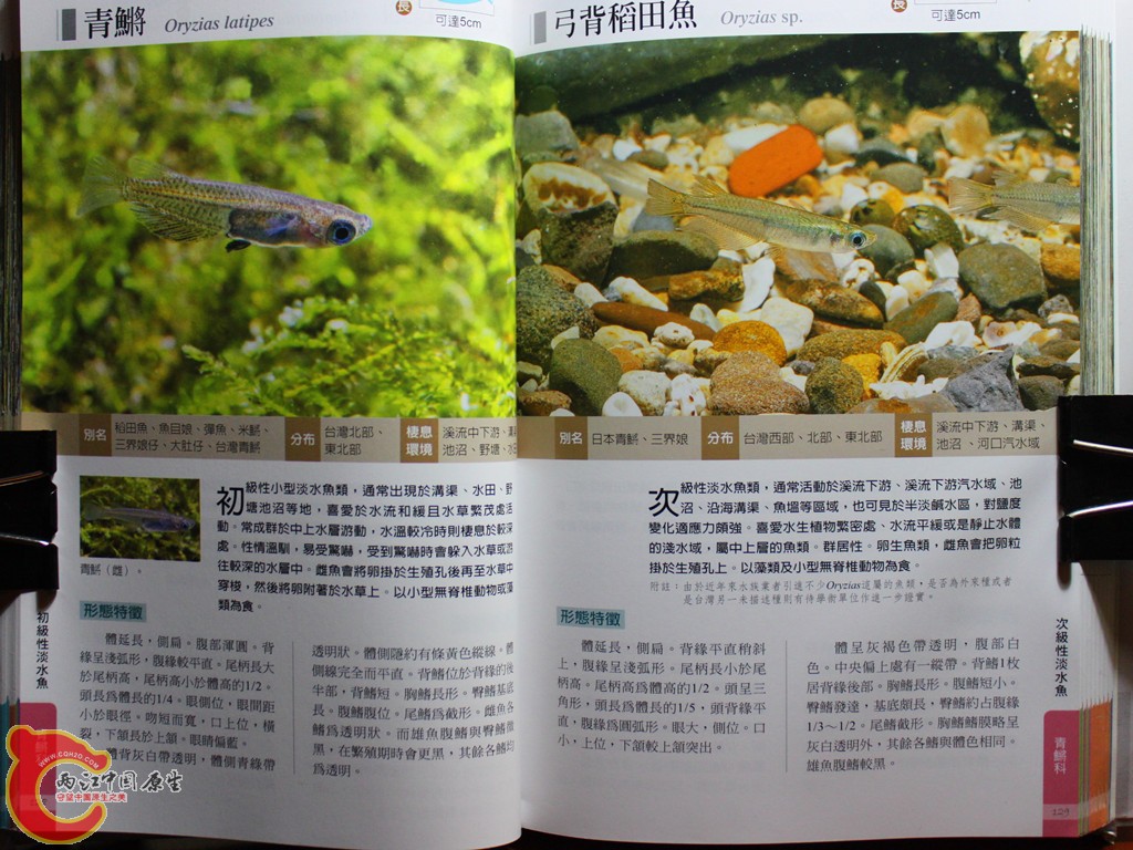 bIMG_7021.JPG