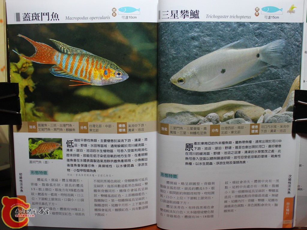bIMG_7097.JPG