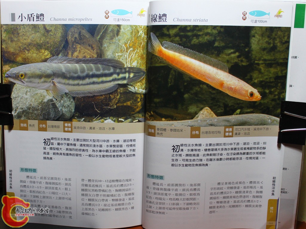 bIMG_7100.JPG