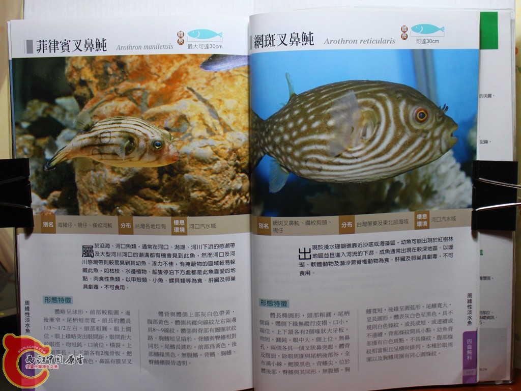 bIMG_7102.JPG