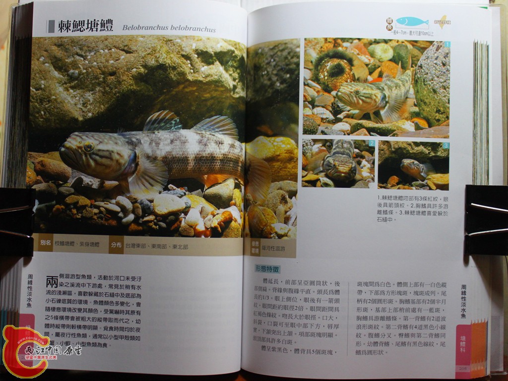 cIMG_7023_副本.jpg