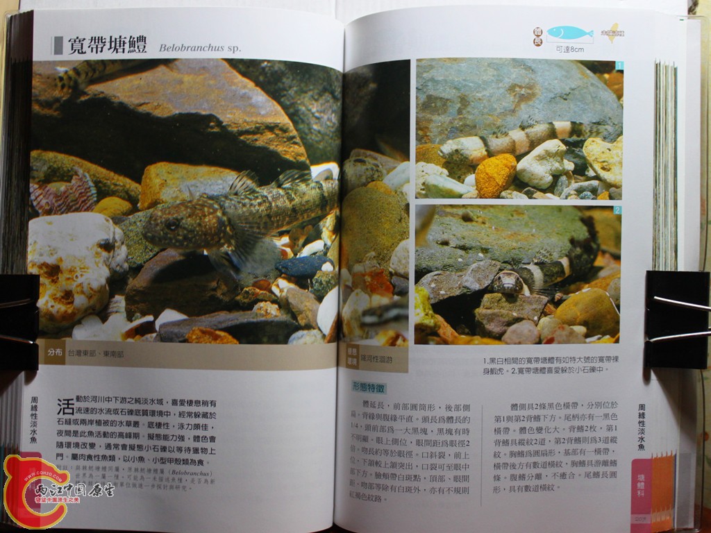 cIMG_7024_副本.jpg