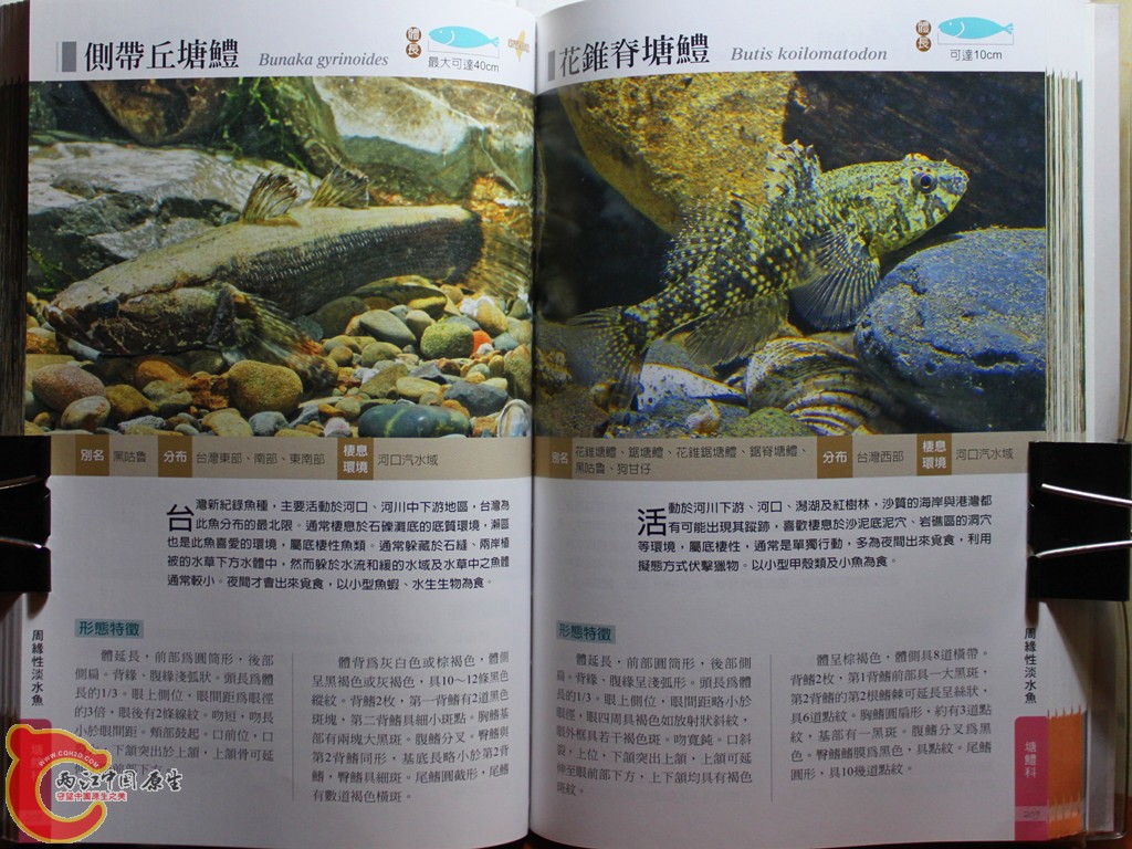 cIMG_7025_副本.jpg