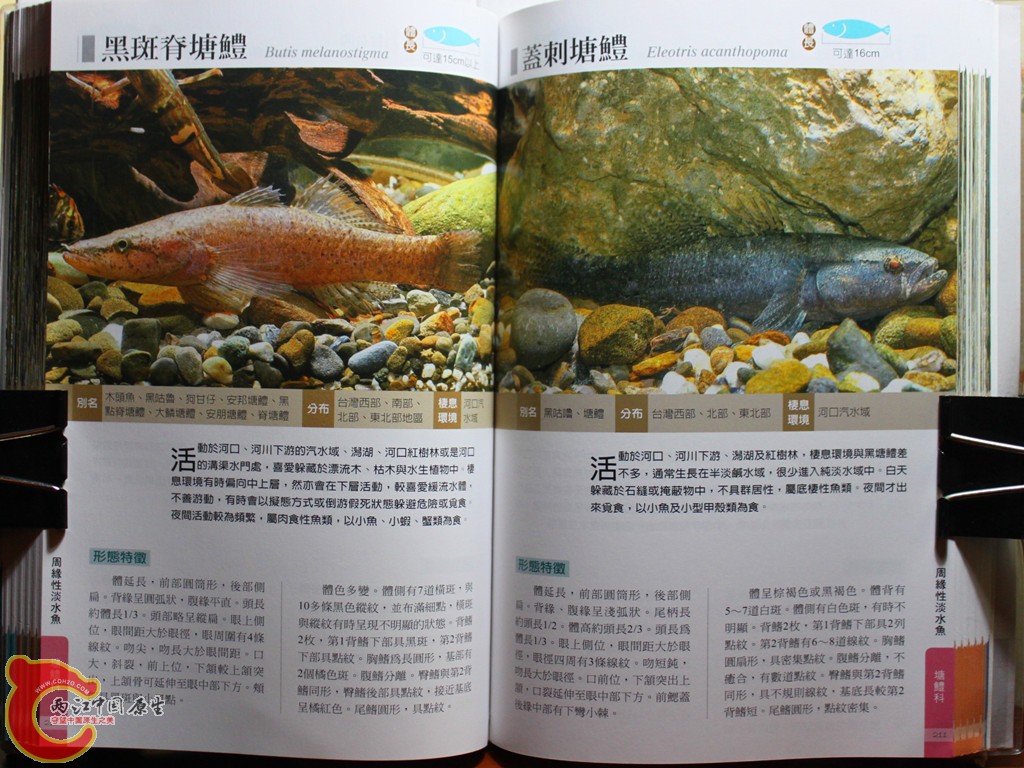 cIMG_7026_副本.jpg