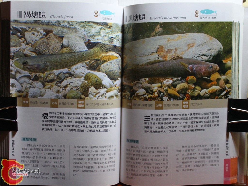 cIMG_7027_副本.jpg