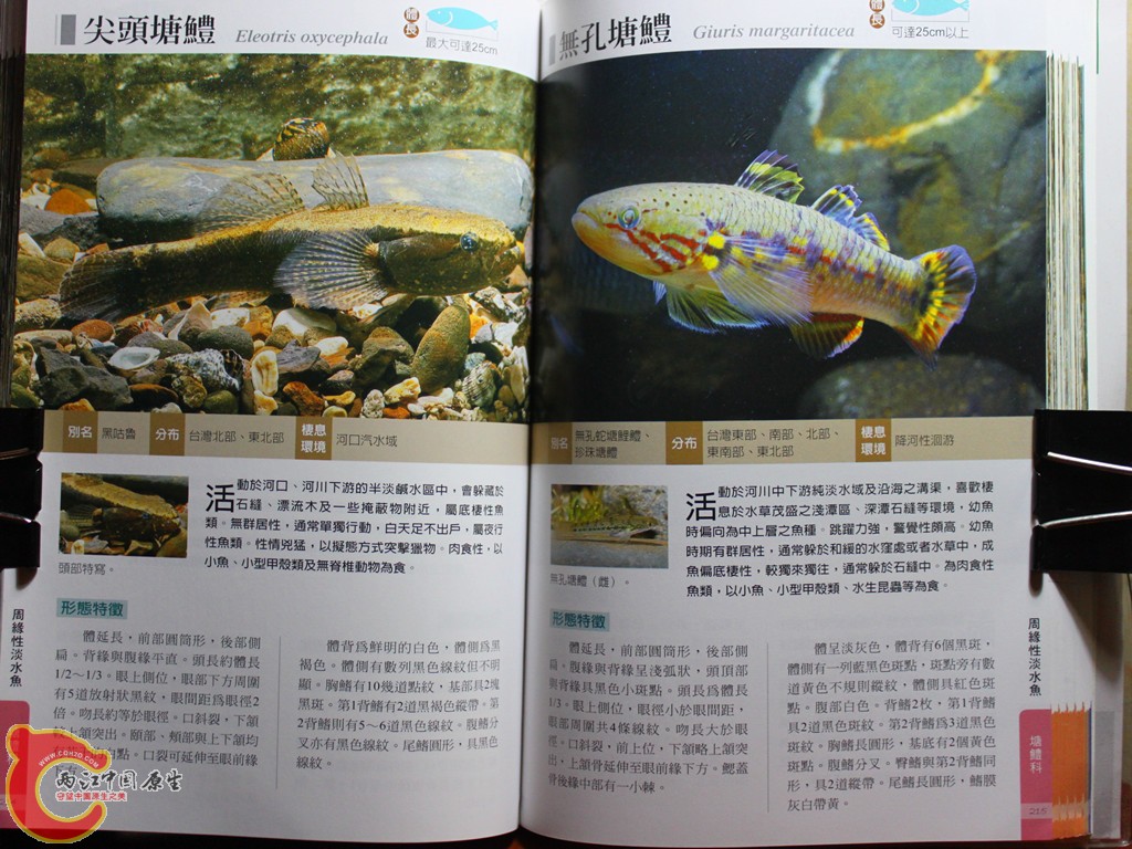 cIMG_7028_副本.jpg