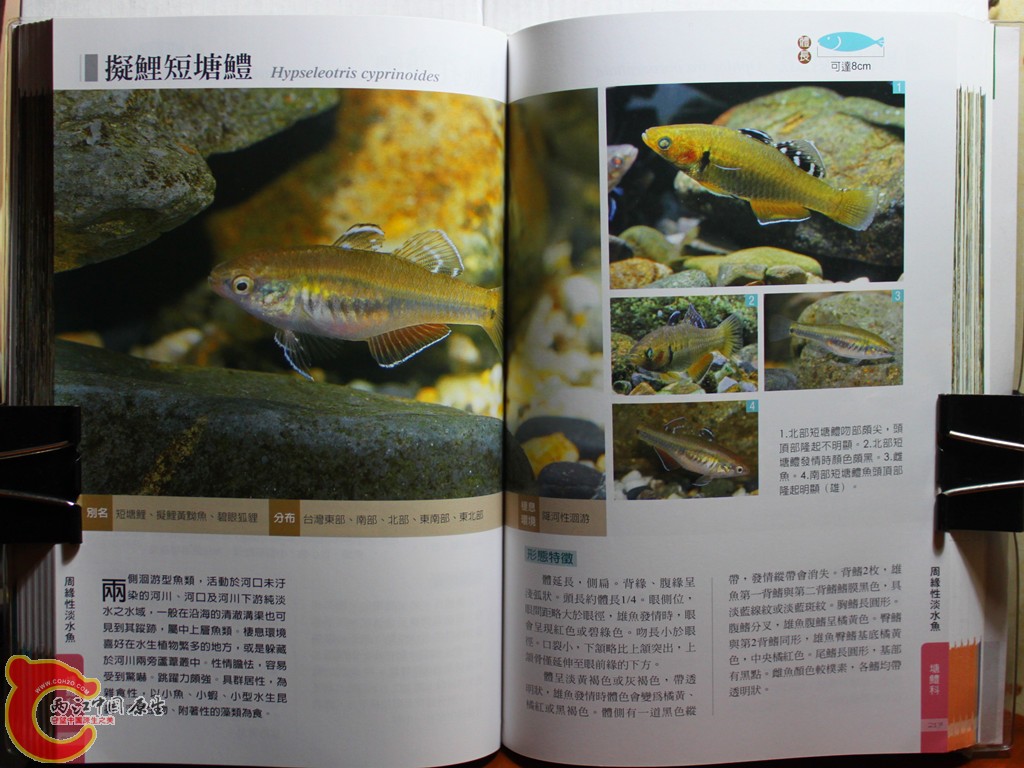 cIMG_7029_副本.jpg