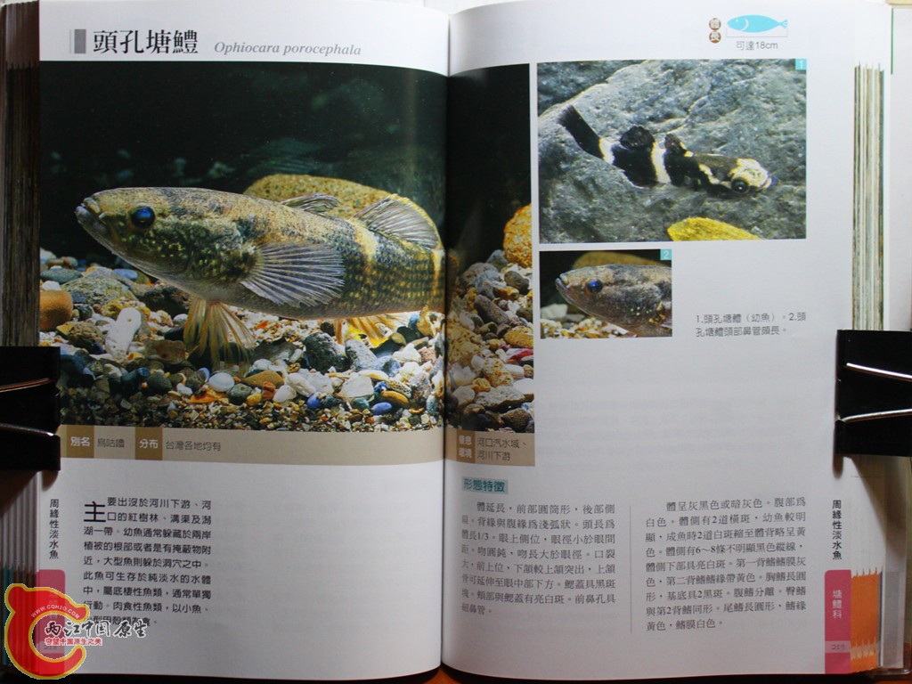 cIMG_7030_副本.jpg