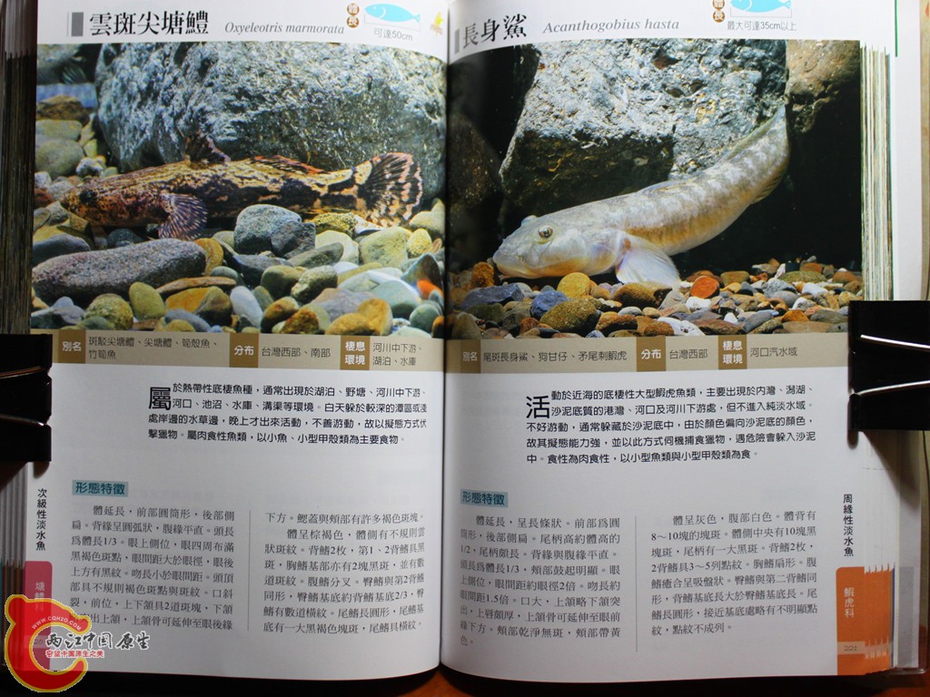 cIMG_7031_副本.jpg