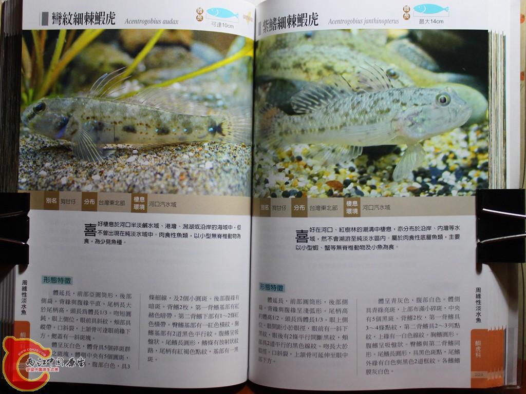 dIMG_7032_副本.jpg