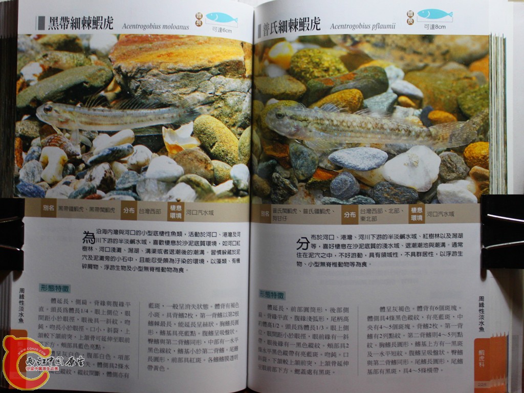 dIMG_7033_副本.jpg