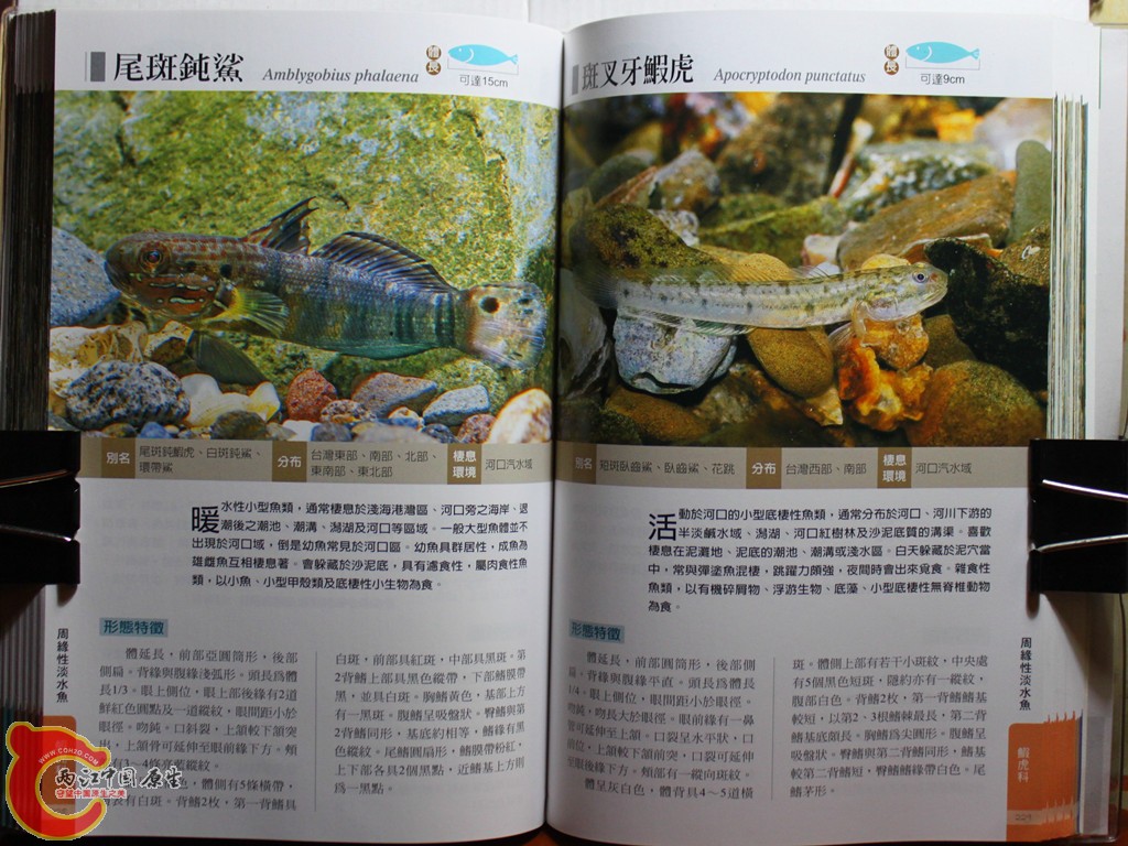 dIMG_7035_副本.jpg