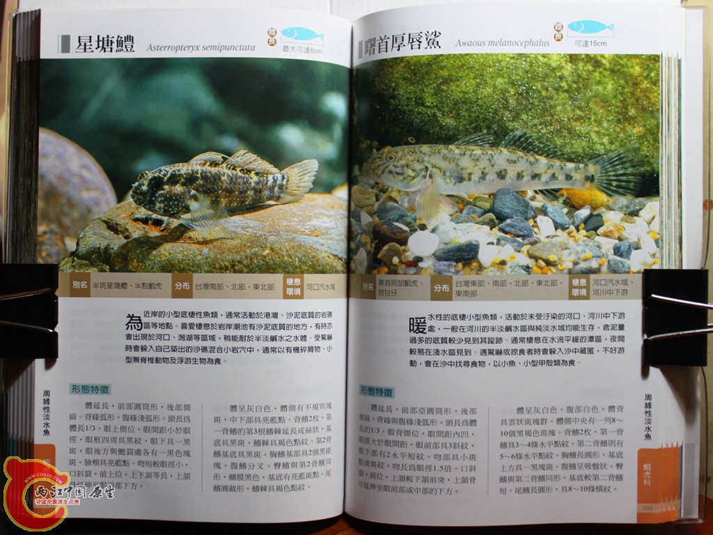 dIMG_7036_副本.jpg