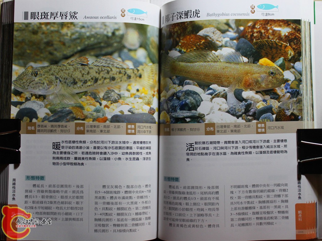dIMG_7037_副本.jpg