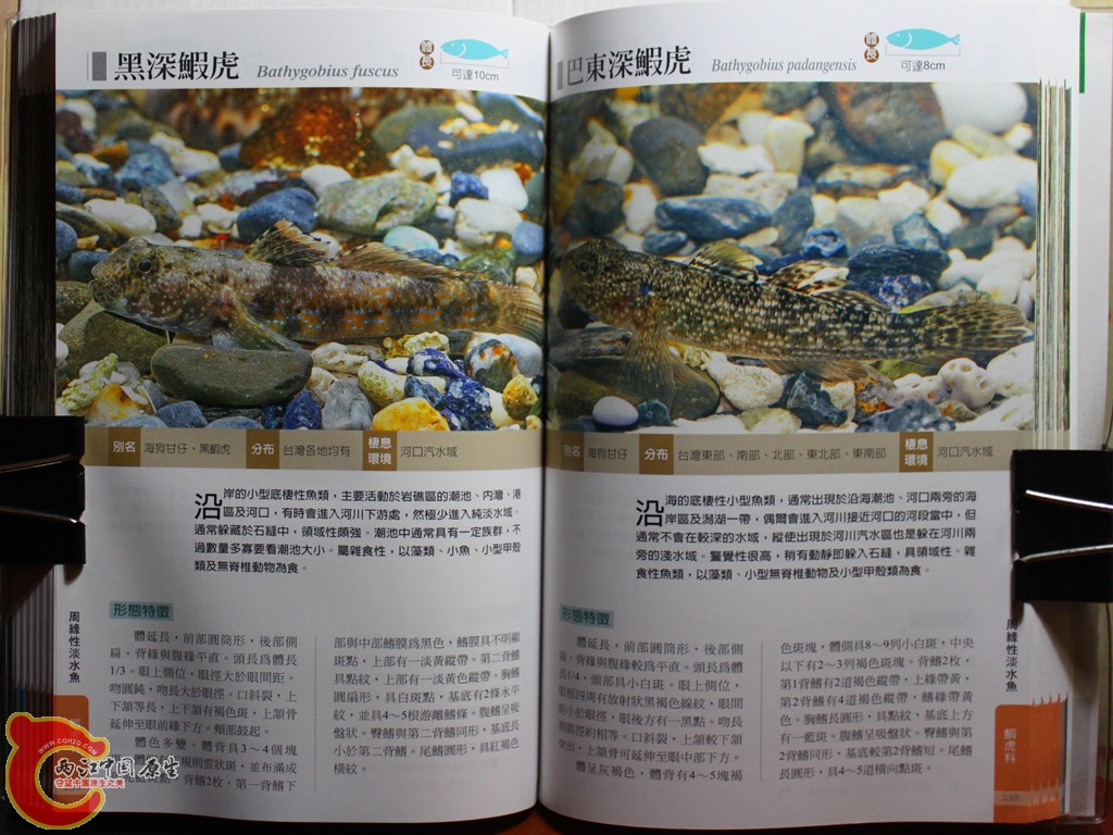 dIMG_7038_副本.jpg