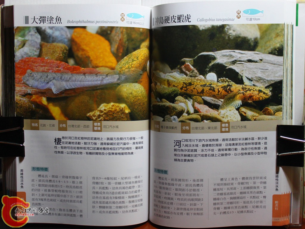 dIMG_7039_副本.jpg