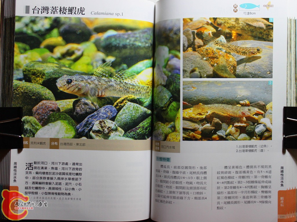 dIMG_7040_副本.jpg