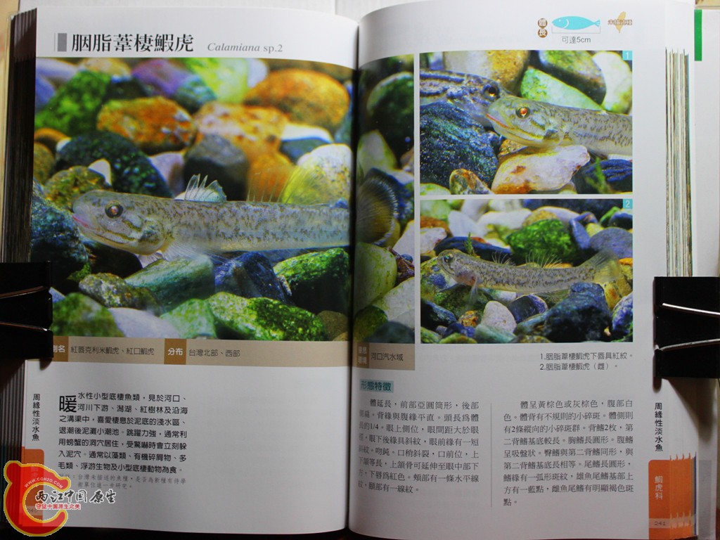 dIMG_7041_副本.jpg