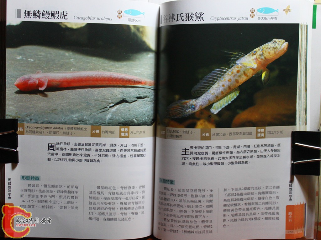 dIMG_7042_副本.jpg