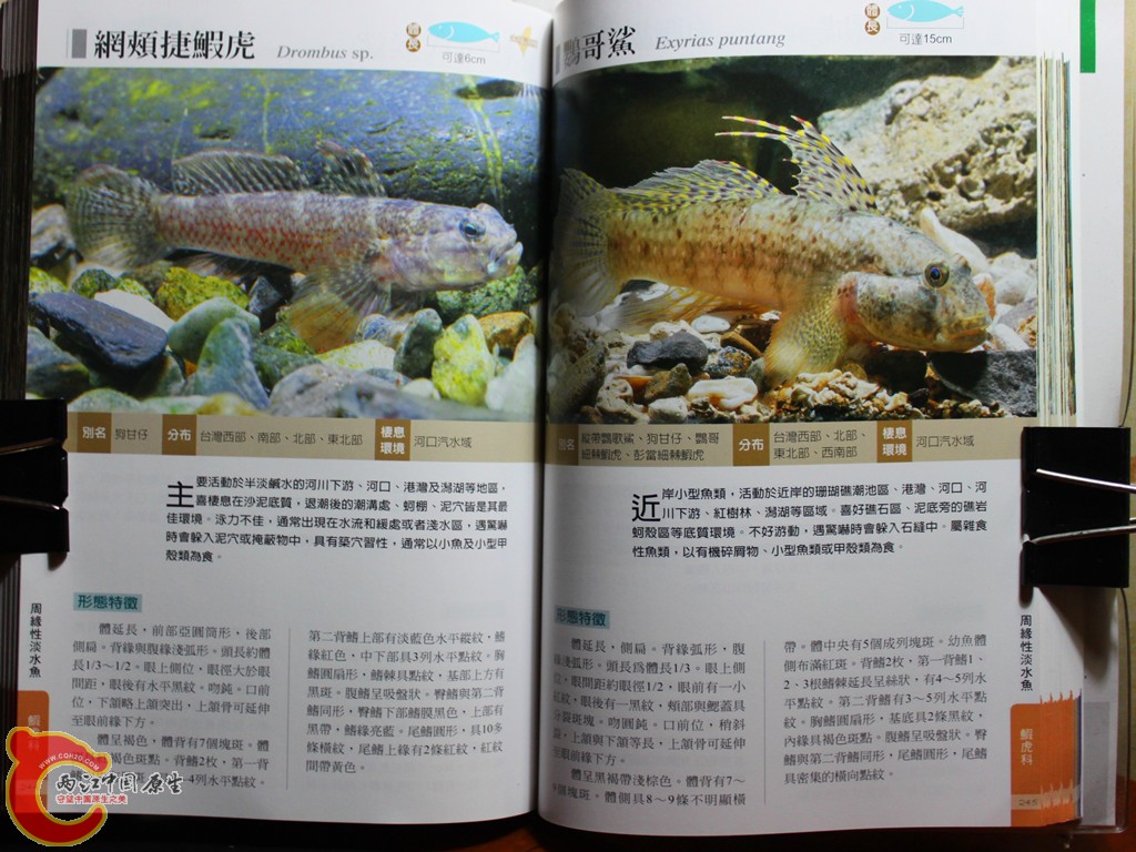 dIMG_7043_副本.jpg