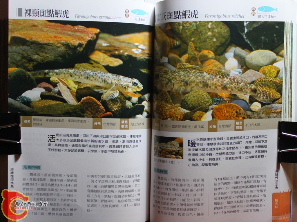 dIMG_7044_副本.jpg