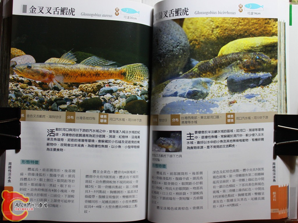 dIMG_7045_副本.jpg