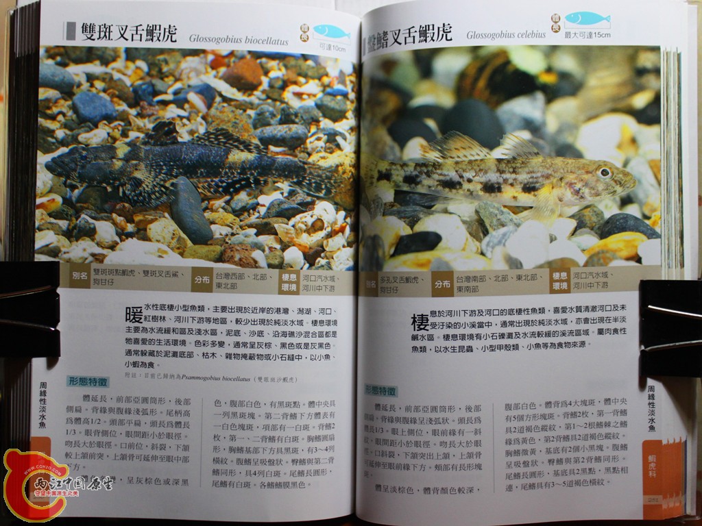 dIMG_7046_副本.jpg