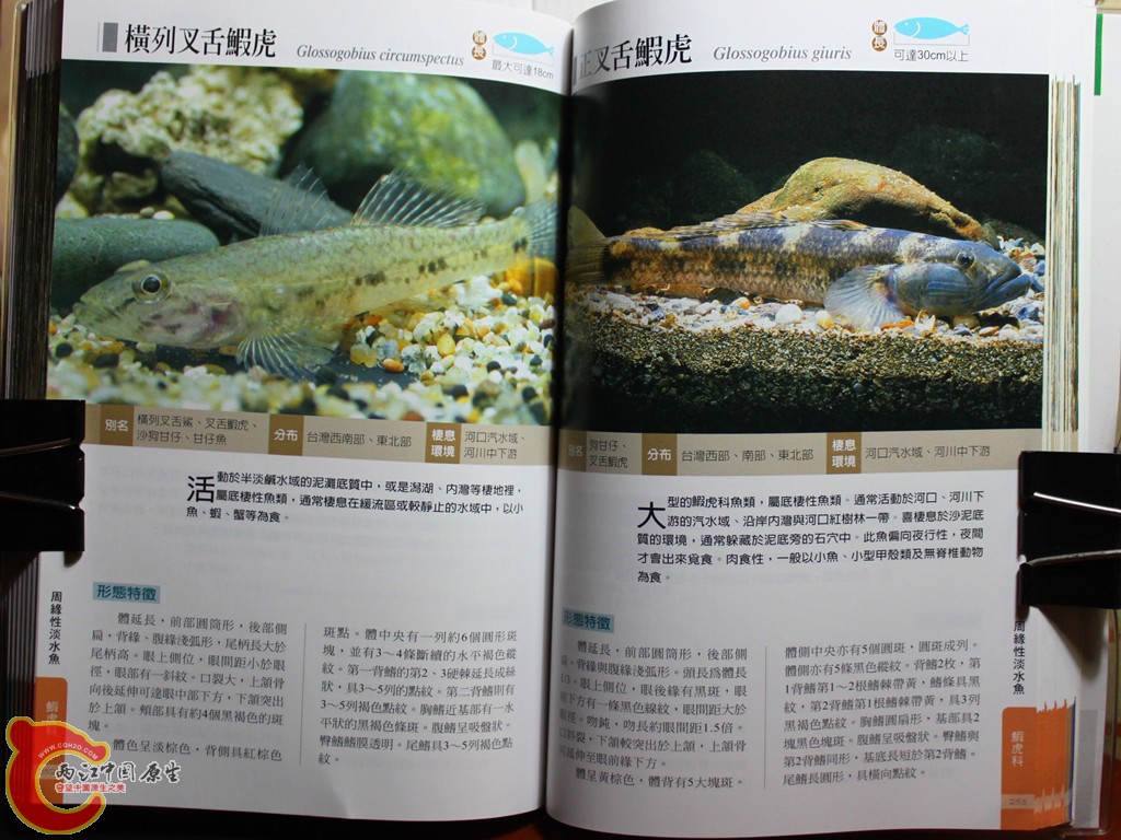dIMG_7047_副本.jpg