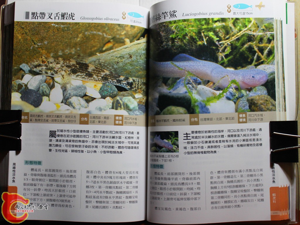 dIMG_7048_副本.jpg