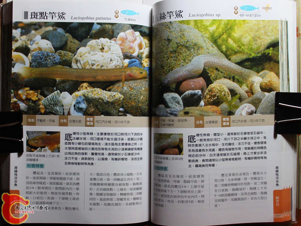 dIMG_7049_副本.jpg