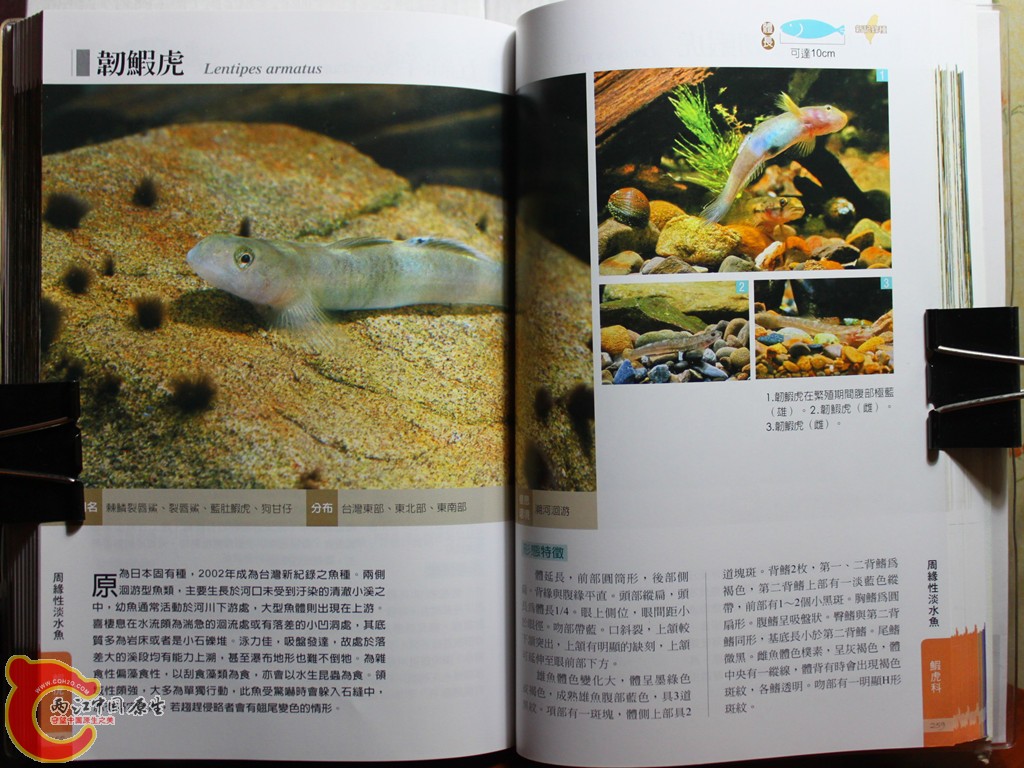 dIMG_7050_副本.jpg