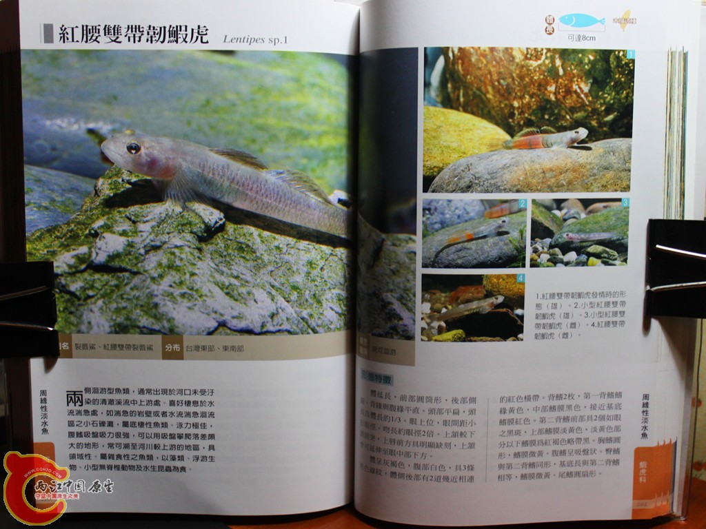 dIMG_7051_副本.jpg