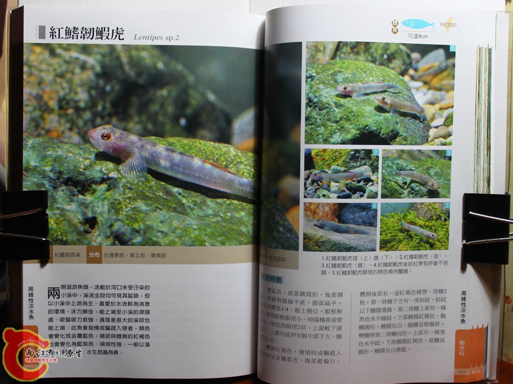dIMG_7052_副本.jpg