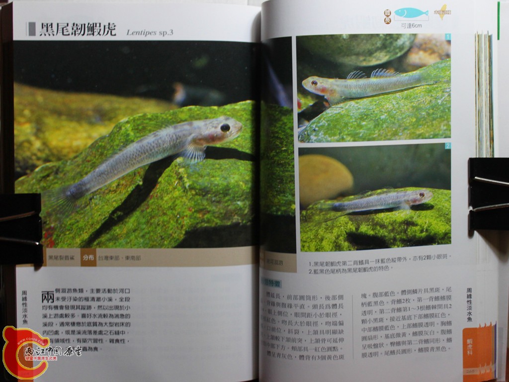 dIMG_7053_副本.jpg