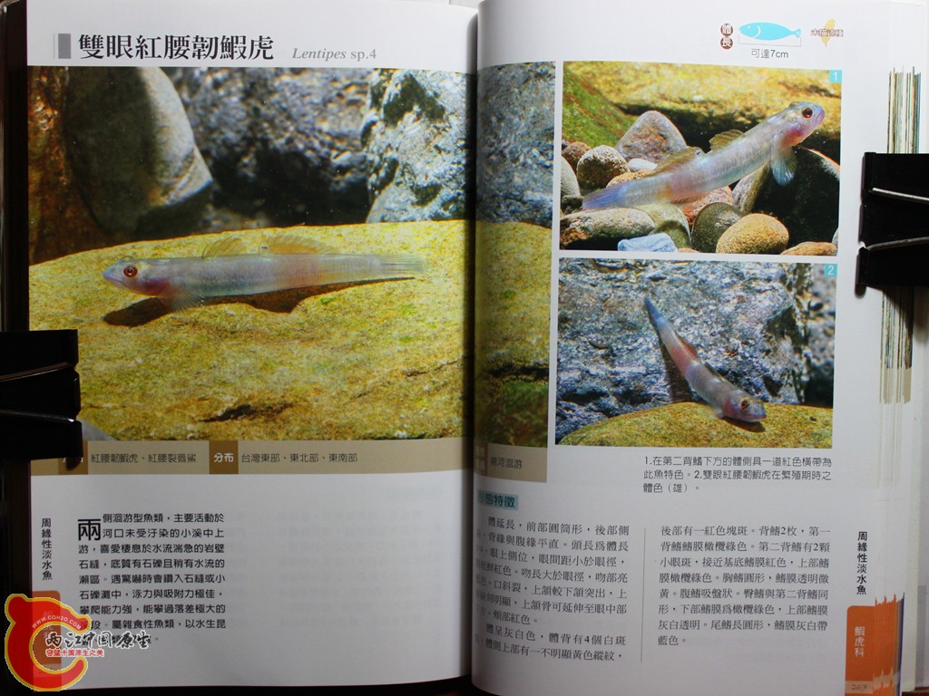 dIMG_7054_副本.jpg