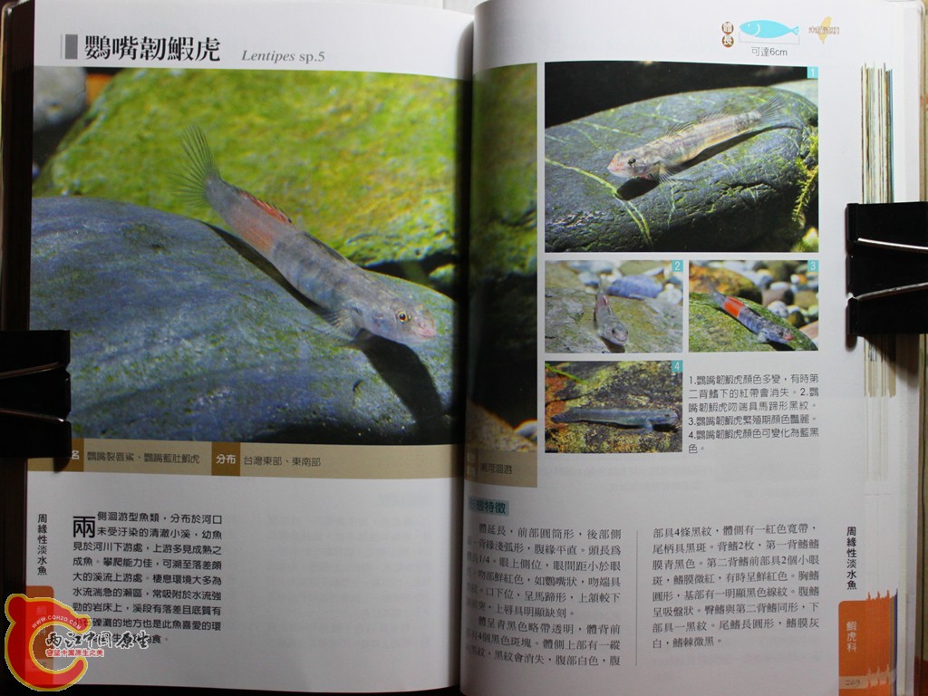 dIMG_7055_副本.jpg