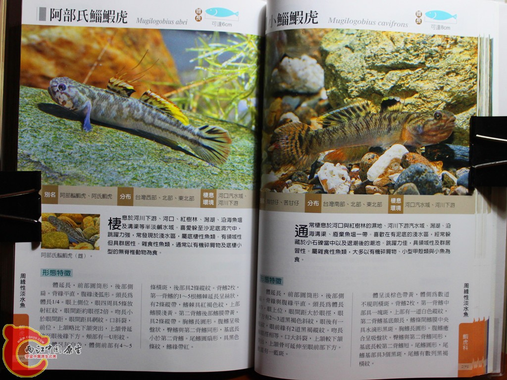dIMG_7056_副本.jpg