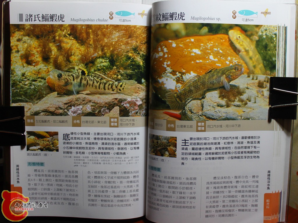 dIMG_7057_副本.jpg