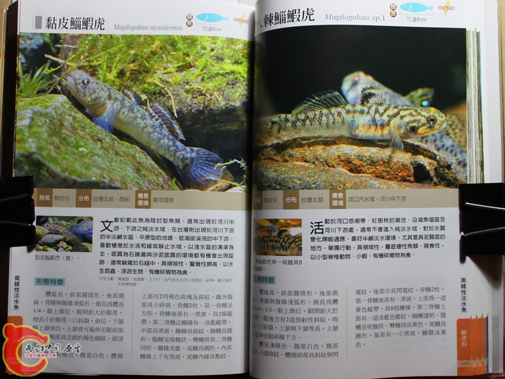 dIMG_7058_副本.jpg