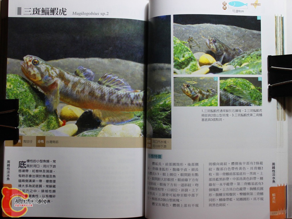 dIMG_7059_副本.jpg
