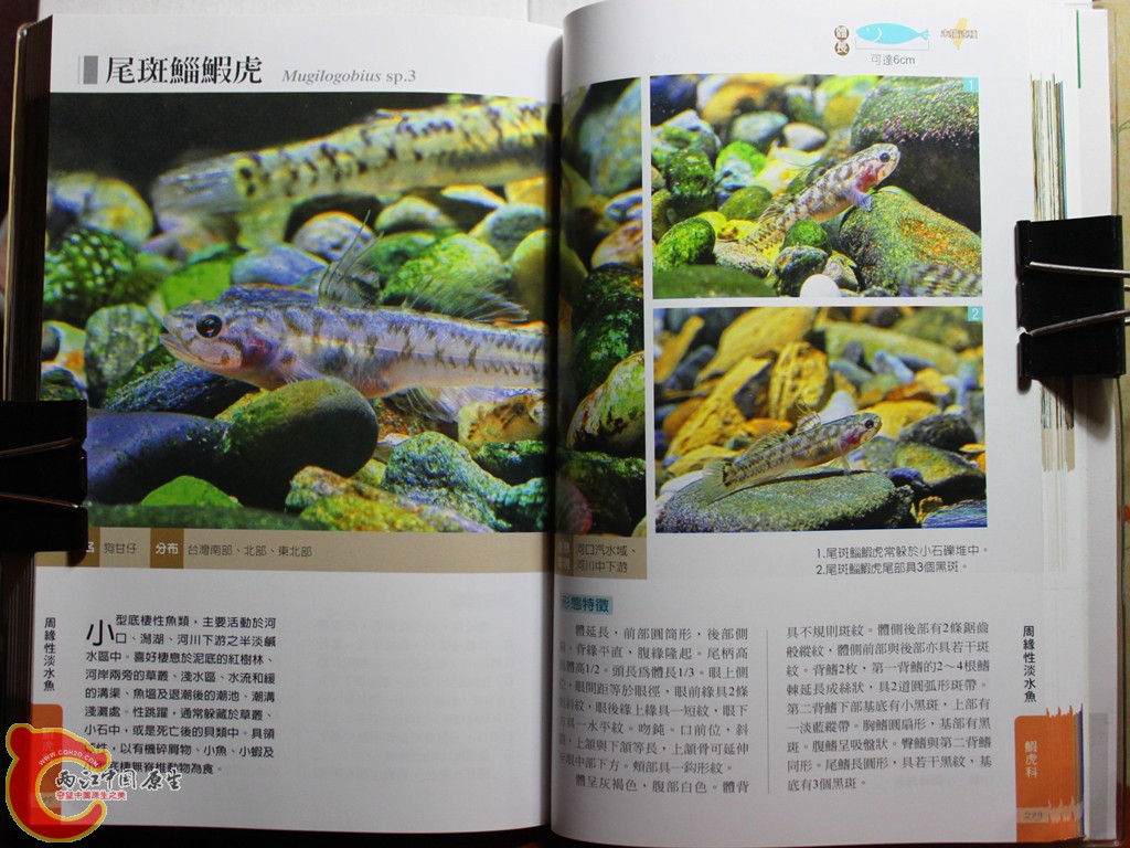 dIMG_7060_副本.jpg