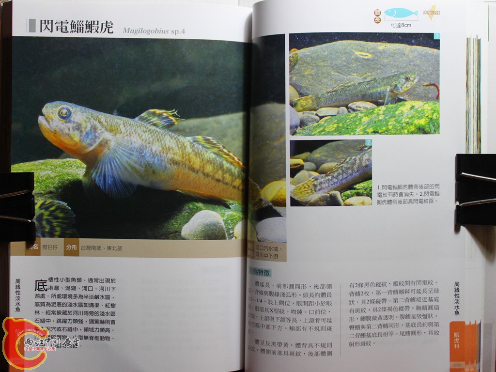 dIMG_7061_副本.jpg