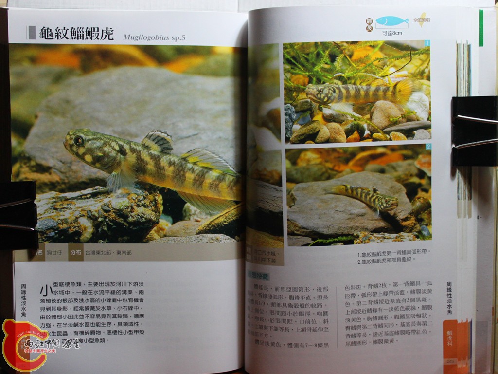 dIMG_7062_副本.jpg