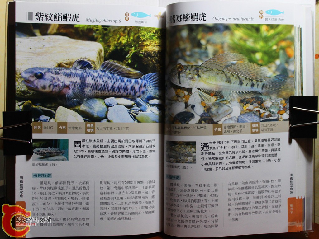 dIMG_7063_副本.jpg
