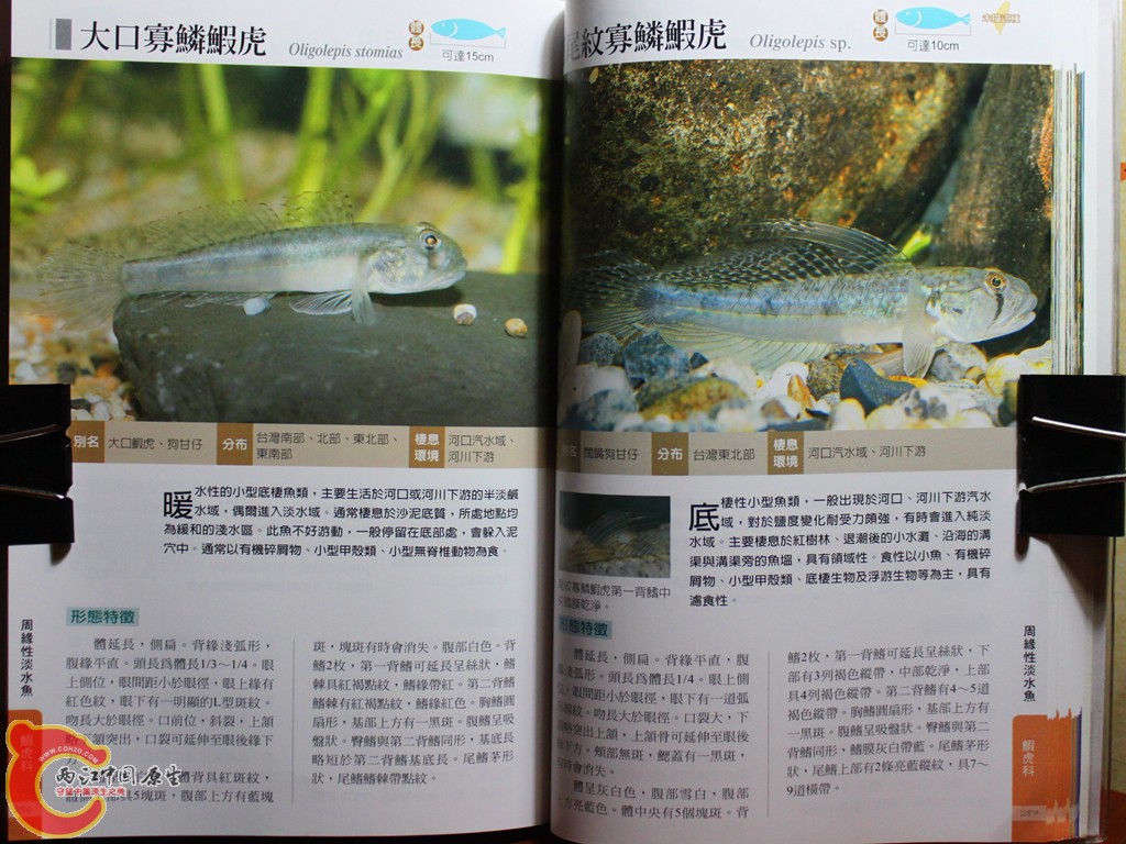 dIMG_7064_副本.jpg
