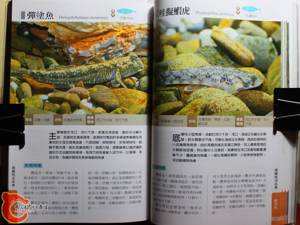 dIMG_7066_副本.jpg