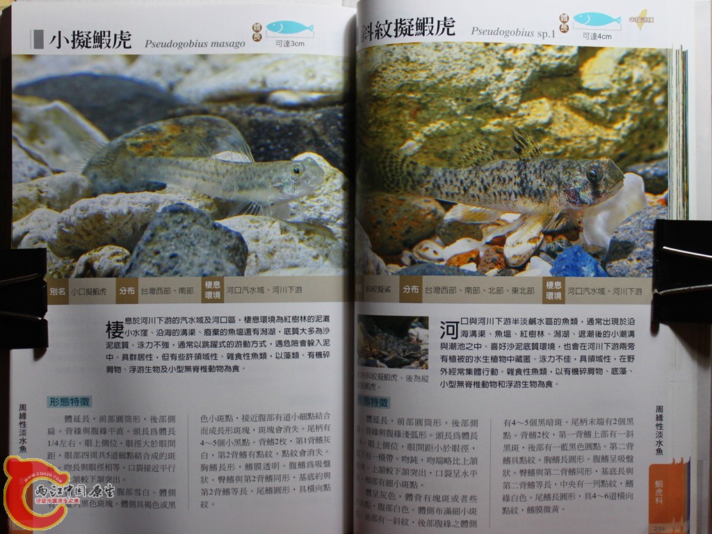 dIMG_7067_副本.jpg
