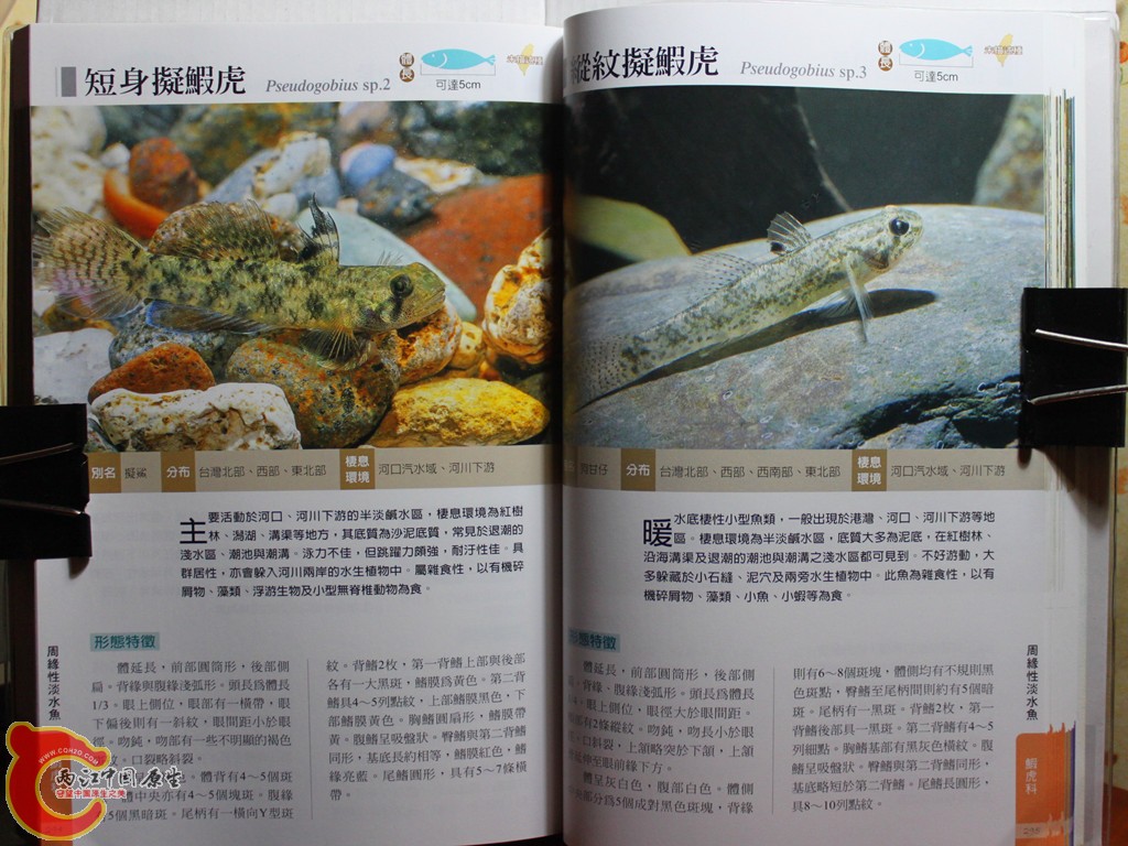 dIMG_7068_副本.jpg