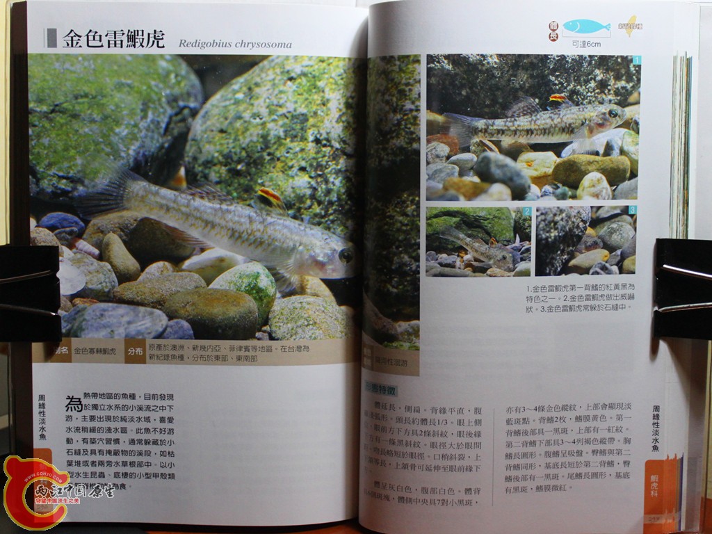 dIMG_7069_副本.jpg