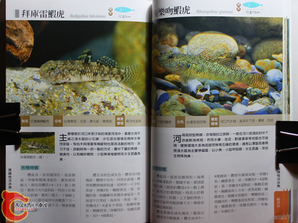 dIMG_7070_副本.jpg